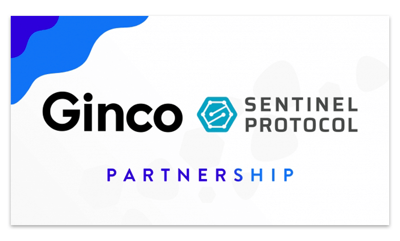 Sentinel Protocolとパートナーシップ連携。